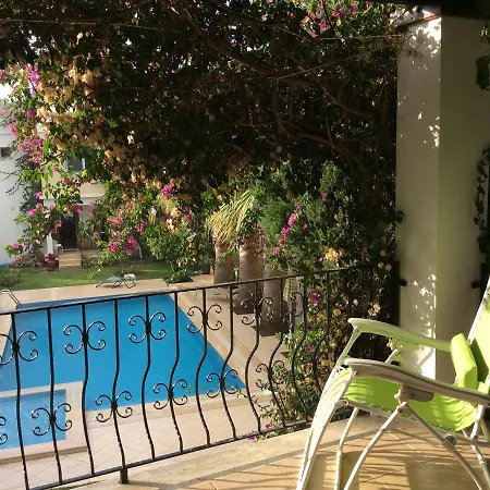 빌라 Begonville Evleri Tilkicik *