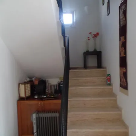Begonville Evleri Tilkicik
